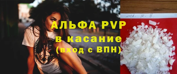 амф Снежногорск