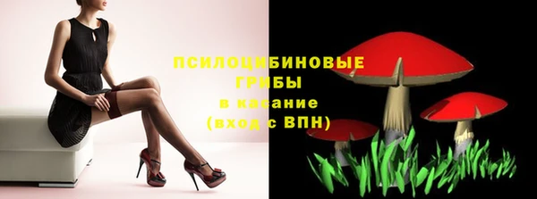 винт Армянск