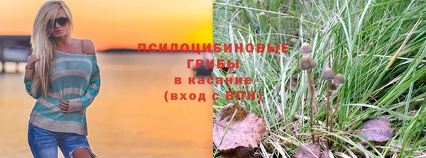 apvp Арсеньев