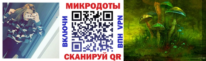 Галлюциногенные грибы MAGIC MUSHROOMS  Багратионовск 