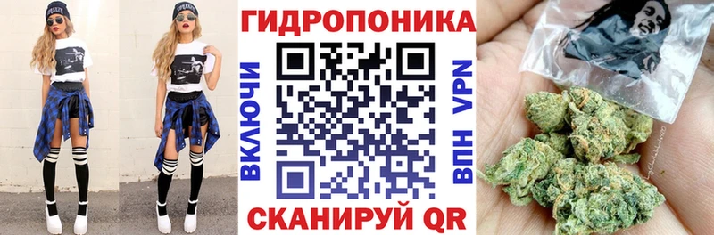 Бошки Шишки THC 21%  Багратионовск 